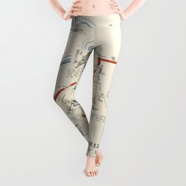 Old WWII 1104 Engineer Combat Group Route (1945) Vintage D-Day to V-Day US Military Map Leggings