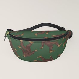 yeti fanny pack