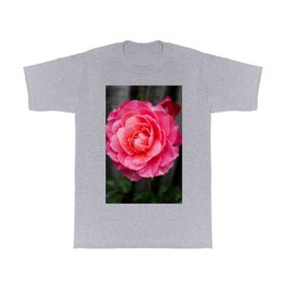 Roses, Pink roses, Rose, Pink rose, Rose flower T Shirt | Pinkflower, Pink, Digital, Pinkrose, Pinkroses, Roses, Photo, Roseflower, Rosephoto, Flowers 