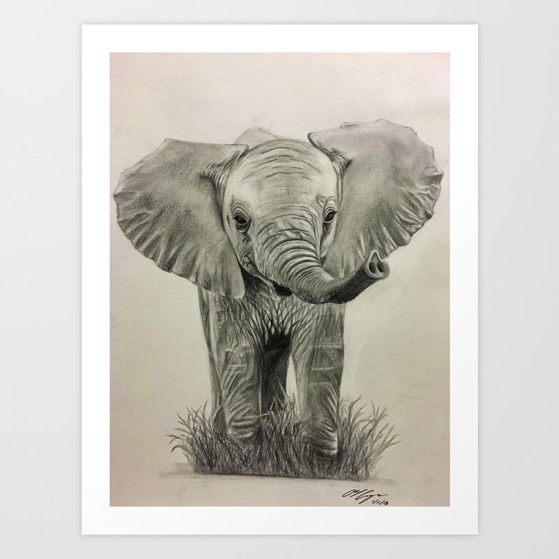 Baby Elephant Pencil Drawing Art Print By Abelcam Society6 Elephants are the largest living land animals. baby elephant pencil drawing art print by abelcam