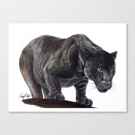 Black Jaguar Canvas Print