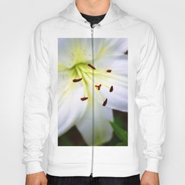 White Easter Lily Close Up Hoody