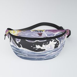 ariel fanny pack