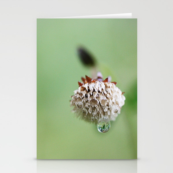 Droplet Stationery Cards by Srmmaier (CRD8026720) photo