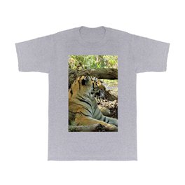 Asian Bengal Tiger Wildcat Resting Forest T Shirt | Asia, Wildcat, Resting, Predator, Beautiful, Wild, Cat, Mammal, Animal, Wildlife 