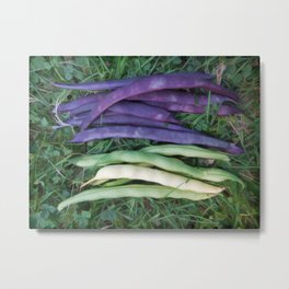 Colorful String Beans Metal Print | Legumes, Vegan, Painting, Beans, Green, Produce, Vegetable, Food, Colorful String Beans, Garden 