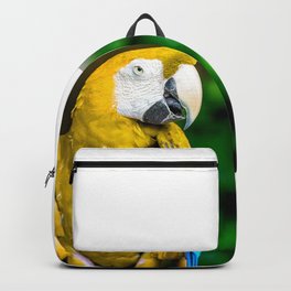 Macaw Backpack