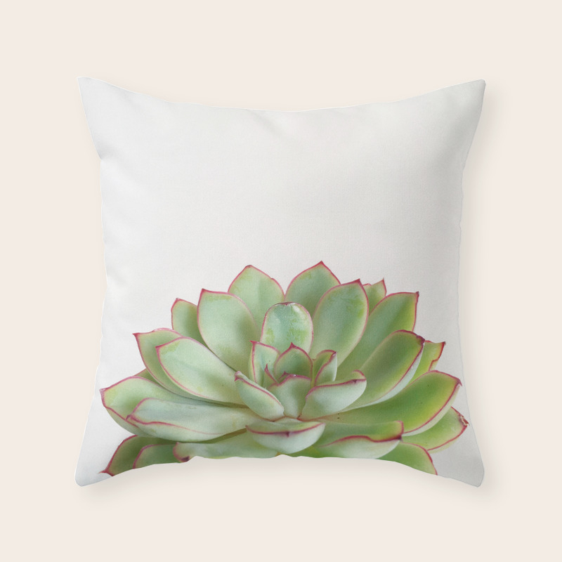 succulent throw pillow