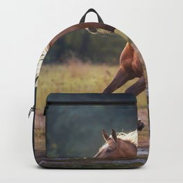 Palomino Horse Run Gallop Outdoor Backpack
