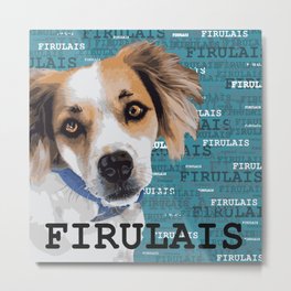 My dog Firulais Metal Print