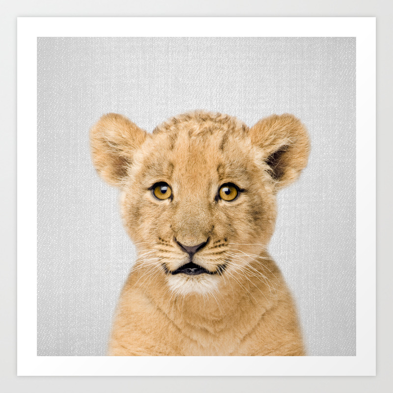 Baby Lion Colorful Art Print By Gal Design Society6