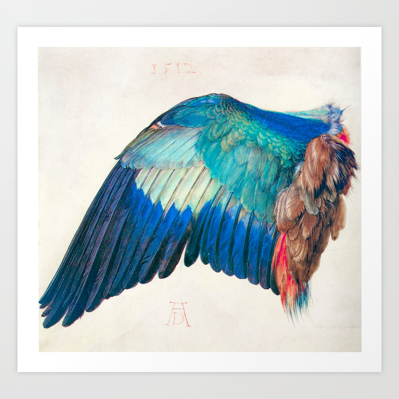 Wing Of A Blue Roller By Albrecht Durer 1512 Anatomy Of A Birds Wing Wildlife Nature Decor Art Print By Public Artography Society6
