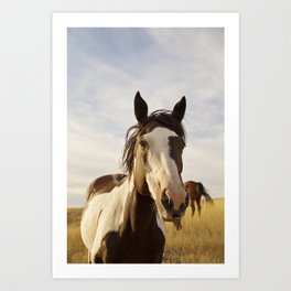 Western Landscape Art Prints For Any Decor Style Society6 Framed fine art prints now available. western landscape art prints for any