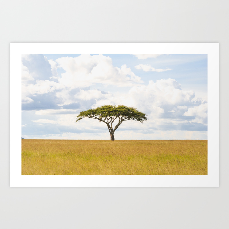 society6