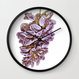 Wisteria flowering plants legume family Fabaceae Leguminosae Acanthaceae Wall Clock