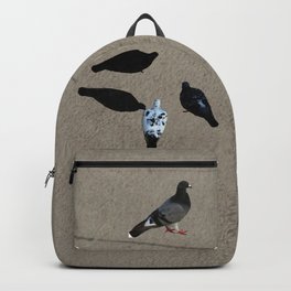 The pigeons' snack time Backpack | Animal, Snacktime, Urbanbirds, Urban, Blackbirds, Birdsfeeding, Nature, Birds, Four, Digital 
