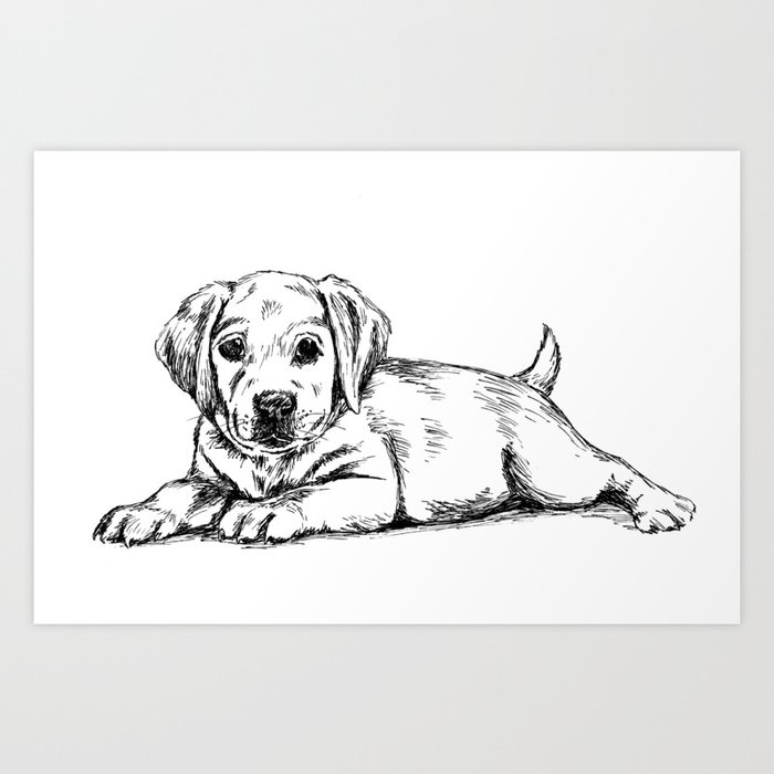 picture Golden Retriever Puppy Pictures To Print golden retriever puppy print art print by rachelibenaharon