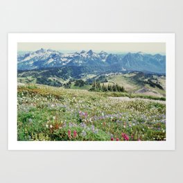 Wildflower Meadow Kunstdrucke | Nature, Curated, Vintage, Digital, Alpine, Adventure, Seasonal, Washington, Mountain, Spring 