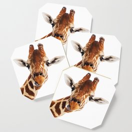 African Animals Coasters For Any Decor Style Society6