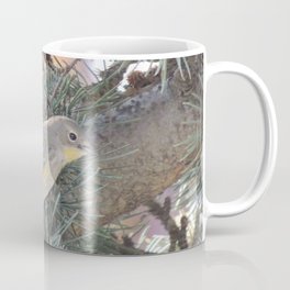Audubon's Warbler on a Spruce Branch Coffee Mug