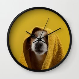 Jack Russell Terrier 8 Wall Clock