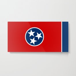 State flag of Tennessee Metal Print | State, Flag, Tennessee, Painting 