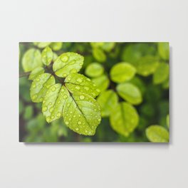 Plant Patterns - Green Scene Metal Print