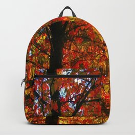 Fall colors Backpack