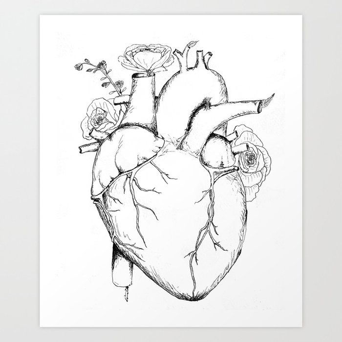 Black And White Anatomical Heart Art Print By Katelg Society6
