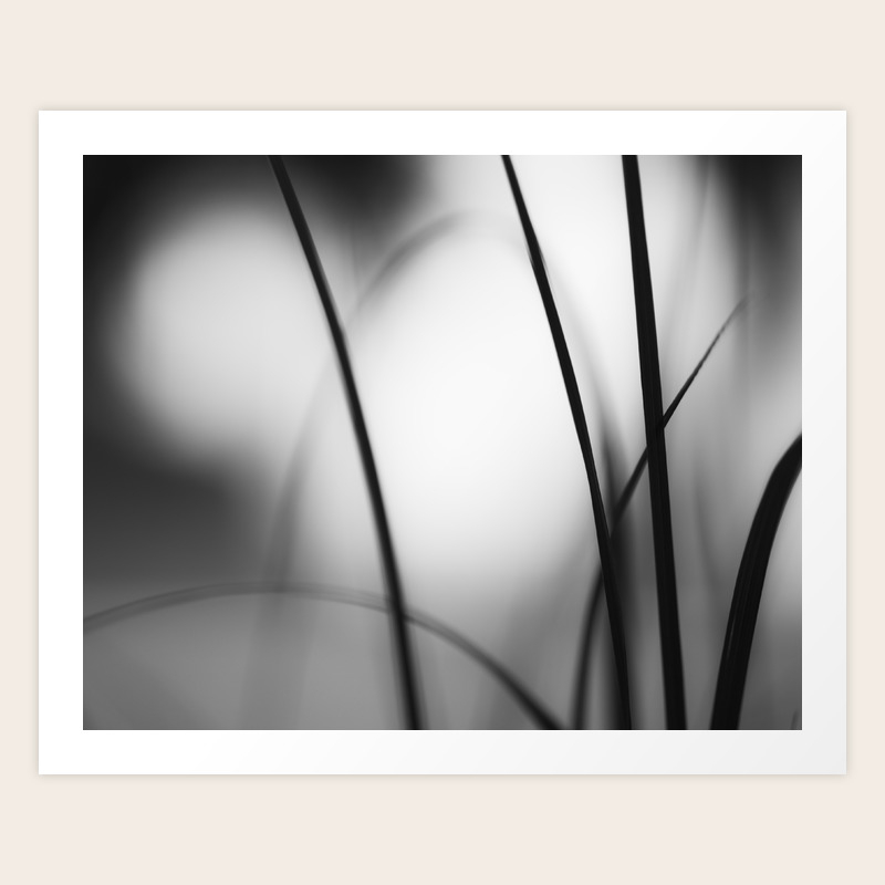 Black And White Abstract Nature Photography Dark Grey Modern Abstract Photo Neutral Gray Picture Art Print By Carolyncochrane Society6