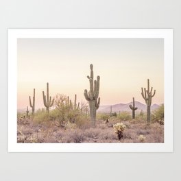 Arizona Desert Kunstdrucke