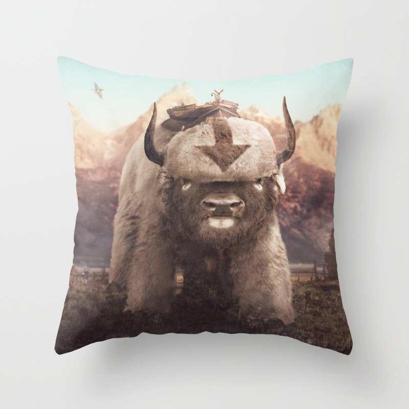 appa pillow