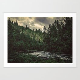 Pacific Northwest River - Nature Photography Kunstdrucke | Drawing, Vintage, Landscape, Nature, Forest, Trees, Pop Art, Sky, Abstract, Woods 