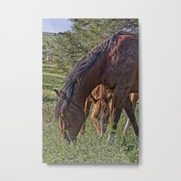 Green Grass and Mud Metal Print | Color, Equine, Grazing, Herbivore, Digital, Bayhorse, Animal, Countrylife, Horses, Rural 