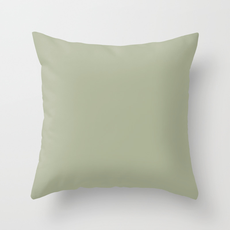 Light Sage Green Throw Pillows Flash ...