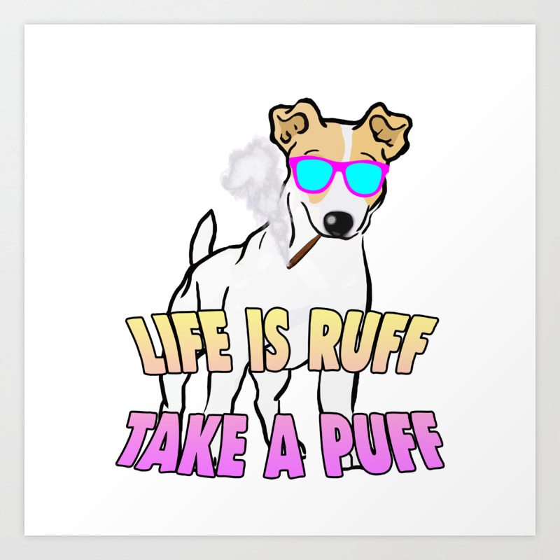 society6