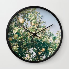 Citrus tree | Cape town analog photo print | Travel photography Art Print Wall Clock