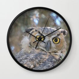 Young Owl at Noon Wall Clock