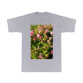 Beautiful Pink Rose Garden T Shirt | Summer, Blossoming, Roses, Color, Digital, Rose Pink, Flower Pink, Flowering, Plants, Rosephoto 
