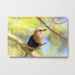 Sunshiny  Roller Bird by Reay of Light Photography Metal Print | Migrate, Nature, Beige, Pretty, Wild, Bird, Birds, Wings, Roller, Trees 