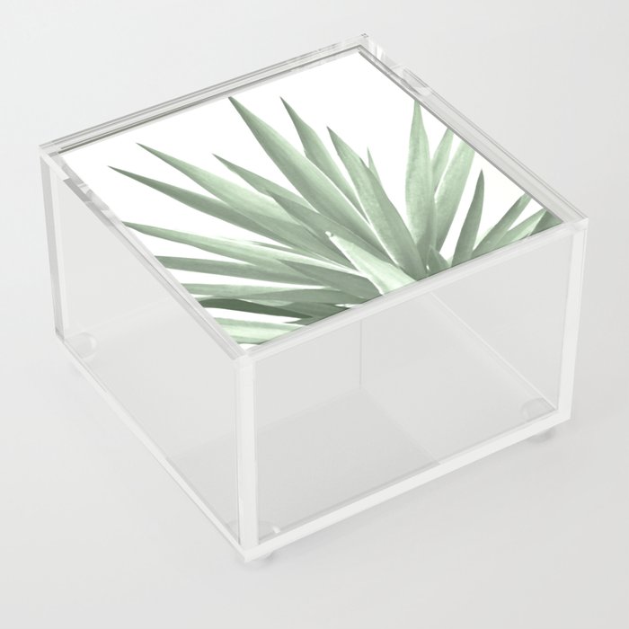 Tropical sage yucca leaves Acrylic Box - Sage green home office decor