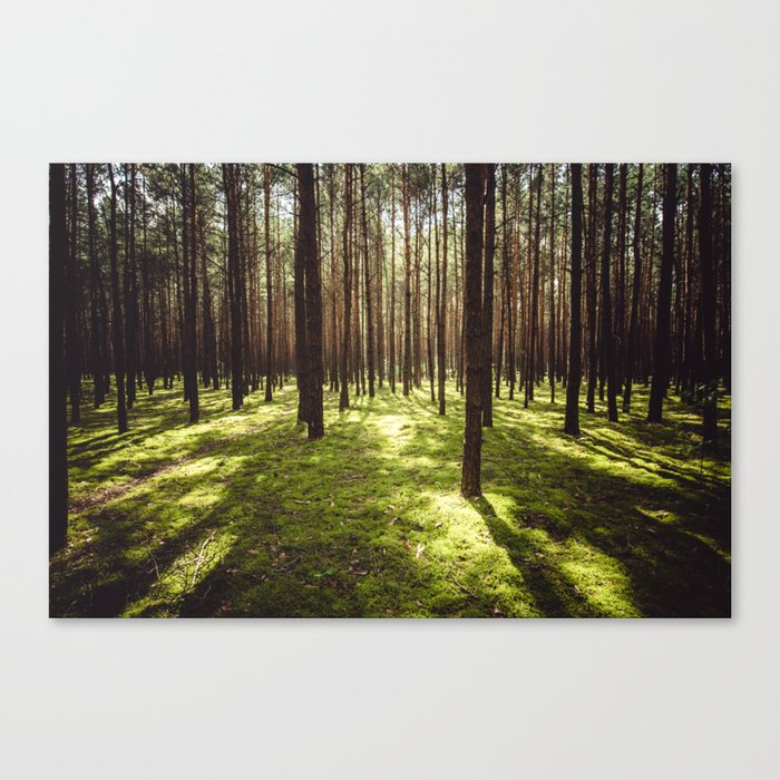 FOREST - Landscape and Nature Photography Canvas Print by ewkaphoto ...