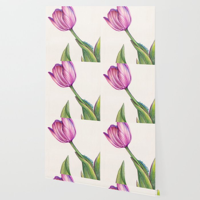 Purple Tulip In Colored Pencil Wallpaper By Dorothyfatunmbi Society6