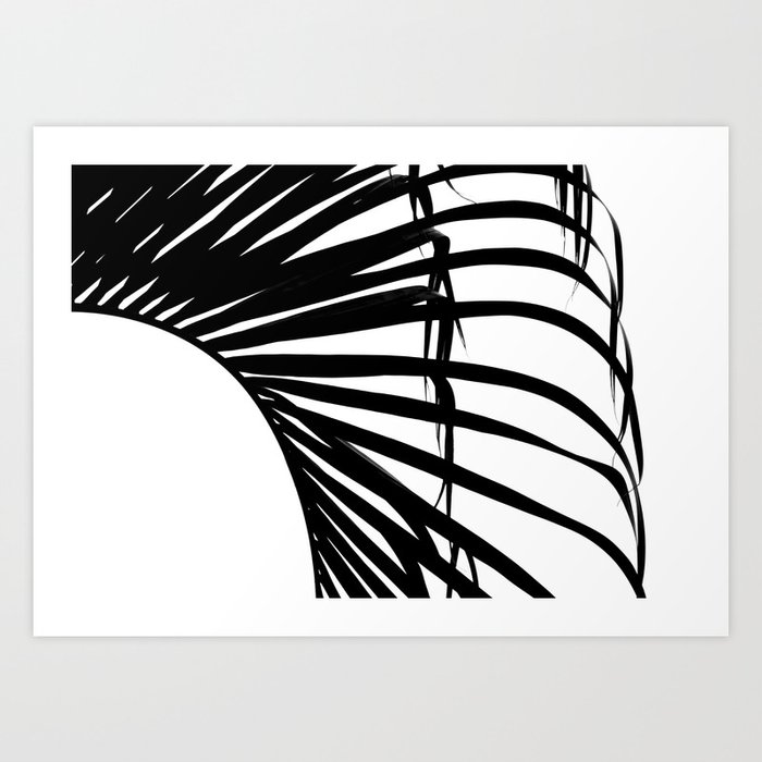 Palm Leaf Silhouette Art Print By Ewettersten Society6