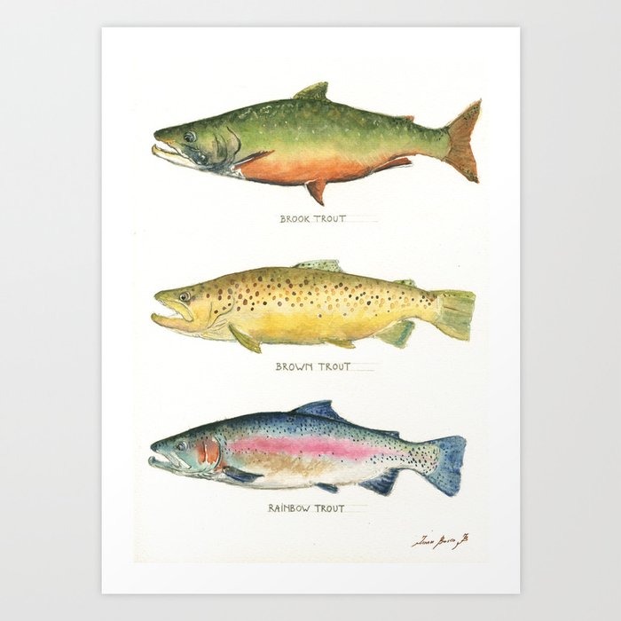 Trouts Art Print by juanbosco | Society6