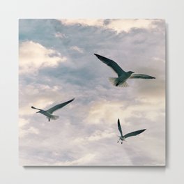 3some Metal Print | Wings, Pink, Sky, Hdr, Photo, Up, Other, Clouds, Birds, Three 