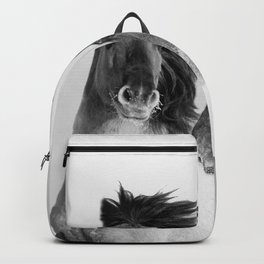 Two wild horses portrait in monochrome. Nature animals photo Backpack
