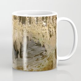 341 - Abstract cave design Coffee Mug