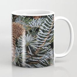 Spruce Cones And Branches Coffee Mug
