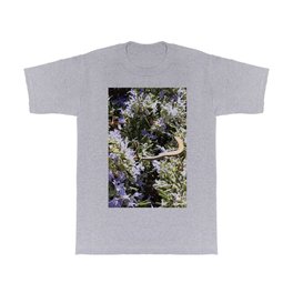 Lizard and Bee in rosemary bush T Shirt | Lilacflowers, Countryside, Rosemaryflowers, Bee, Purpleflowers, Flowers, Insects, Cottagecore, Tinyflowers, Floralphotography 